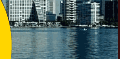 Buy Business Sarasota
